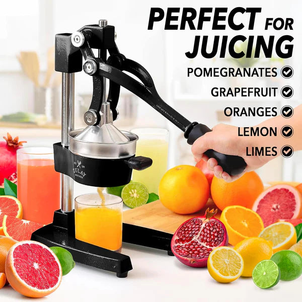 JuicyFyer 2.0